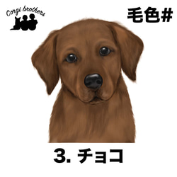 【 ラブラドールレトリバー 水彩画風 毛色4色 】　パターン柄　スマホケース　犬　ペット　うちの子　Android対応 5枚目の画像