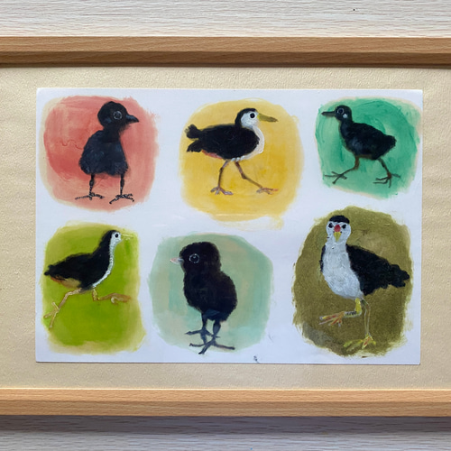 原画 1点もの Drawing シロハラクイナ 額付き 絵画 ミオ 通販 14393447