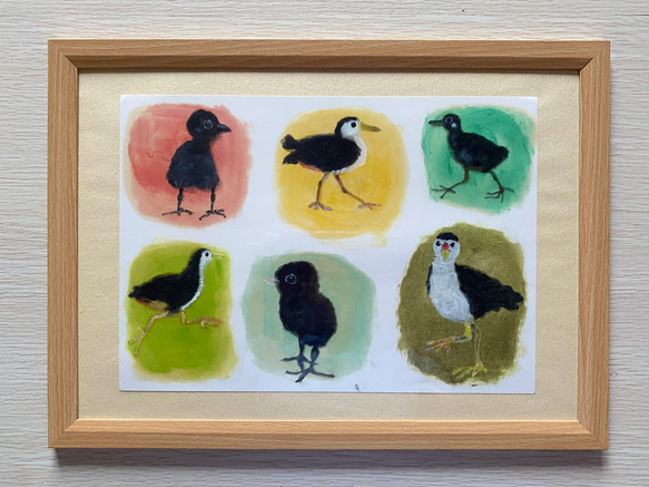 絵画　一点もの 原画 1点もの Drawing シロハラクイナ 額付き 絵画 ミオ 通販 14393447