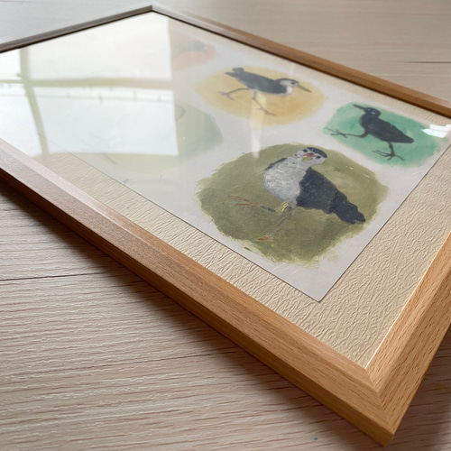 原画 1点もの Drawing シロハラクイナ 額付き 絵画 ミオ 通販 14393447