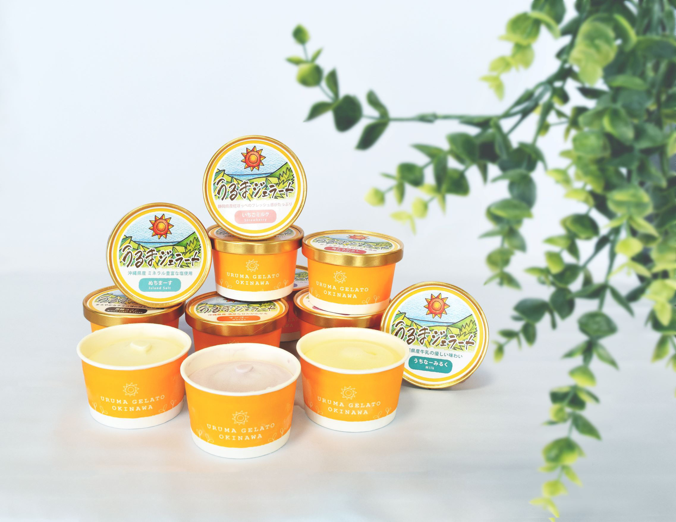 送料無料☆完全無添加うるまジェラート12個セット