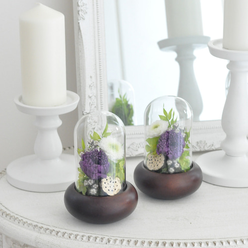 上品むらさき登場】 輪菊の美しい ガラスドーム付き