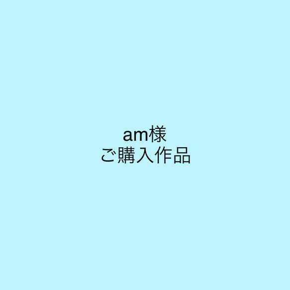 am様ご購入ページ 1枚目の画像