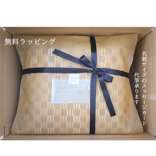 ハッピーグリーンXL 2WAYプラカゴバッグ 買い物カゴ マルシェバッグ 大
