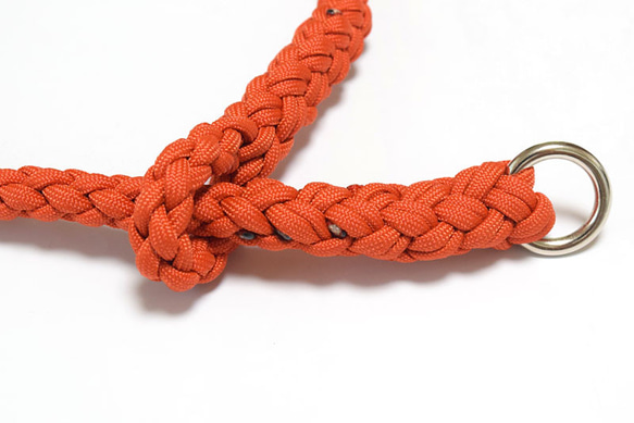 注文製作 送料無料　6本編み　パラシュートコードでできた　和犬用ハーフチョークカラー　金属アレルギーのワンちゃんに最適！ 4枚目の画像