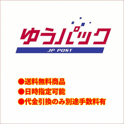 ジェラトーニ＆ステラ・ルー コスチューム ウエディングドレス＆タキシード No.10 本体無 Sサイズ用 送料無料 15枚目の画像