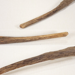 【温泉流木】かぎ針のような形状の上質な枝流木 枝 流木素材 インテリア素材 木材 4枚目の画像