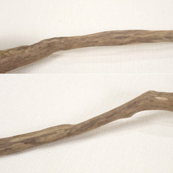 【温泉流木】くるくる巻貝のような形状からの枝流木 流木素材 インテリア 素材 レイアウト 木材 4枚目の画像
