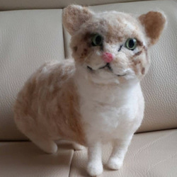 羊毛アメリカンコッカースパニエル 羊毛フェルト Kingこうた 通販