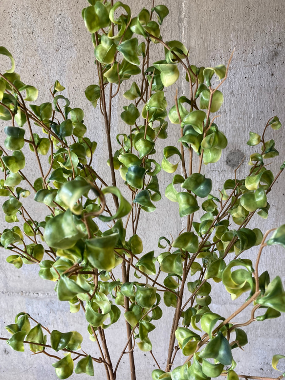 光触媒　人工観葉植物　ウォールグリーン　フェイク　フラワー　ベンジャミンバロック 5枚目の画像