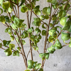 光触媒　人工観葉植物　ウォールグリーン　フェイク　フラワー　ベンジャミンバロック 6枚目の画像