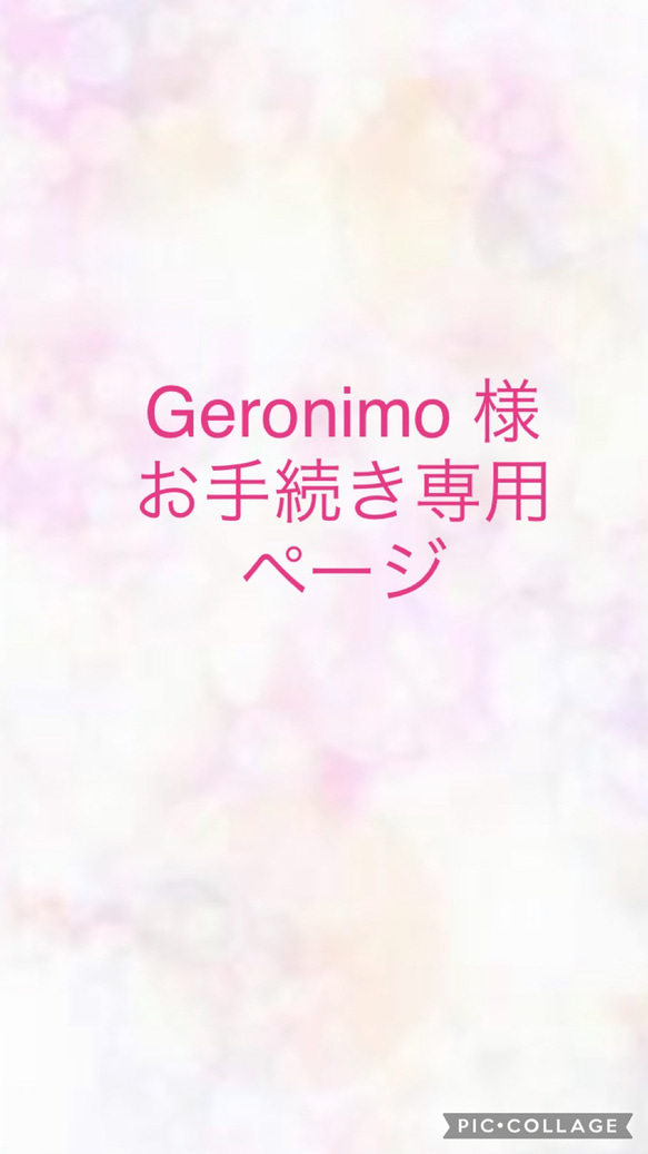 Geronimo 様  お手続き専用ページ 1枚目の画像