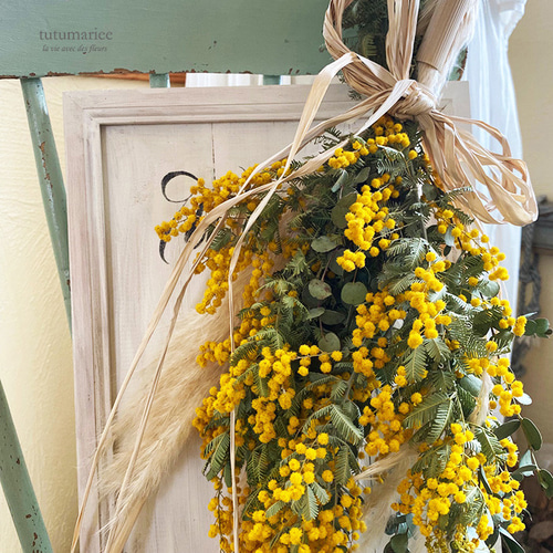 フレッシュミモザのスワッグ❁︎ フレッシュミモザスワッグ | pianta del fiori