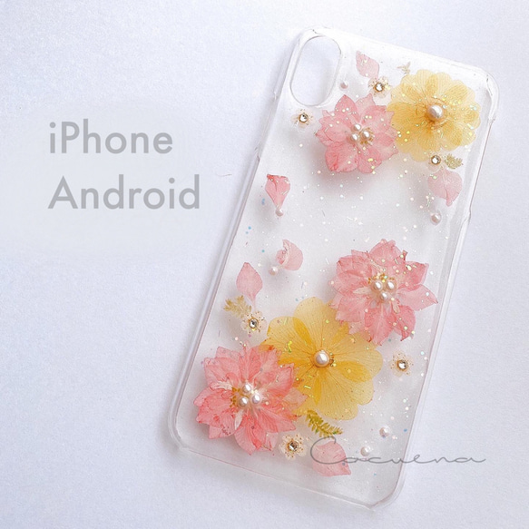 【送料無料】千鳥草のiPhone/Android押し花ケース 1枚目の画像