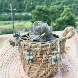 992b509ffe6725431fe65ff71aaf2a