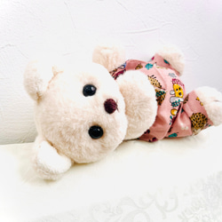 テディベア『Baby bear』ベージュ(お洋服付) 2枚目の画像