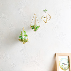 フェイクグリーン付きヒンメリ3点セット　 1枚目の画像