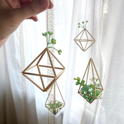 フェイクグリーン付きヒンメリ3点セット　 9枚目の画像