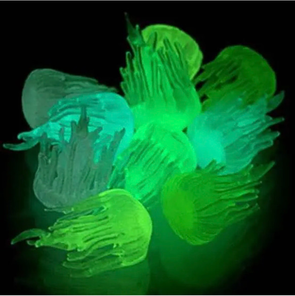 光るクラゲセット  黄緑 光るクラゲセット 黄緑
