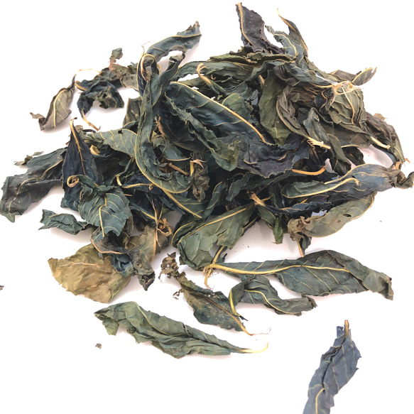 【藍】 限界集落で無農薬で育った 藍乾燥葉 茎なし 約640g 藍染め 織り物 藍】 限界集落で無農薬で育った 藍乾燥葉 茎なし 約640g 藍染め