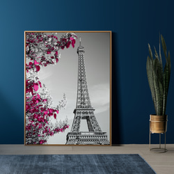 Paris エッフェル塔 モノトーン&カラー / インテリアポスター 海外アート / 4244 4枚目の画像