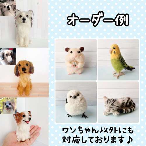 オーダーメイド】Mサイズ 手のひらペット 羊毛フェルト feltpet_moko 