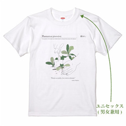 ヨーロッパのガーデナー気分になれる茄子のTシャツ。 5枚目の画像