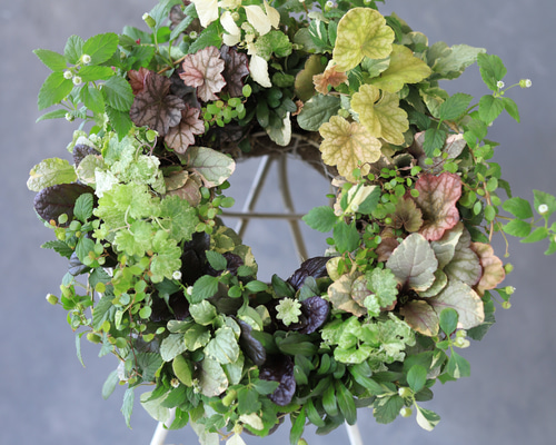 ヒカゲノカズラと木の実のほっこりリース 0_6c87187f11ef513f31408d4dc5a8