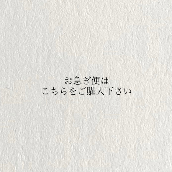 【ご購入前に要確認】お急ぎ便をご希望の方はこちらをご購入下さいませ。 1枚目の画像