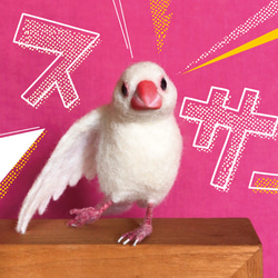 のびのび文鳥さんのストレッチ『スサー』 羊毛フェルト a to c 通販