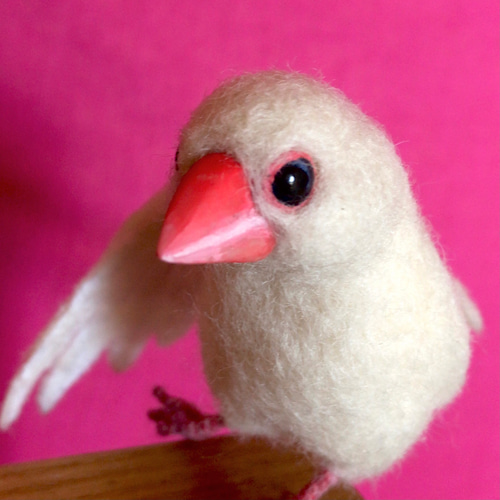 のびのび文鳥さんのストレッチ『スサー』 羊毛フェルト a to c 通販