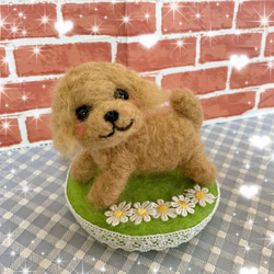 羊毛フェルト チャウチャウ犬 羊毛フェルト Kingこうた 通販 18607402