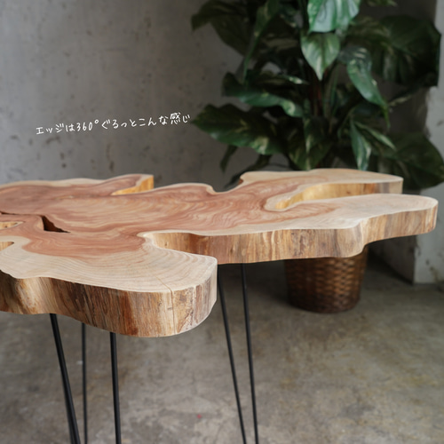 伊吹の輪切り一枚板⑤ コーヒーテーブル （高さ・カラー変更無料）