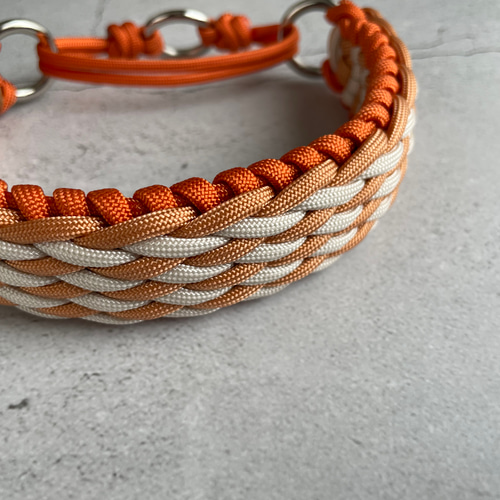 パラコード首輪 デザインNo.33小型犬・中型犬首輪 リード・首輪