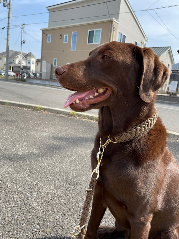 【オーダー製作】パラコード首輪　デザインNo.34中型犬・大型犬首輪 11枚目の画像