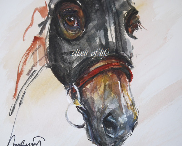 若い競走馬のポートレートⅢ　(水彩画用紙、21cm×２９ｃｍ、Ａ４サイズ、墨、アクリル） 2枚目の画像