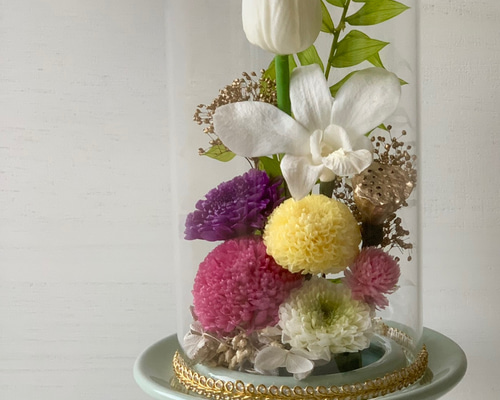 a4feb9c56c82dc313024b8336b709b