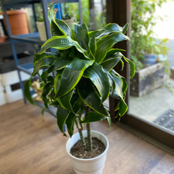 556b86c3042810a15bfc80a8feb045