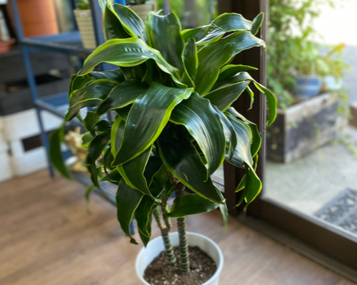 556b86c3042810a15bfc80a8feb045