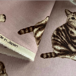 　大きな猫柄 綿麻キャンバス スモークピンクに茶の猫 幅 110cm × 50cm  国産 4枚目の画像