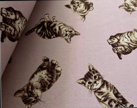 　大きな猫柄 綿麻キャンバス スモークピンクに茶の猫 幅 110cm × 50cm  国産 1枚目の画像