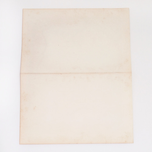 ロシア帝国領内 ヨーロッパ アンティークマップ 古地図 マイヤー百科