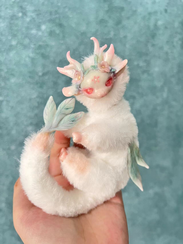 不思議な動物,ドラゴン桃華の霊 