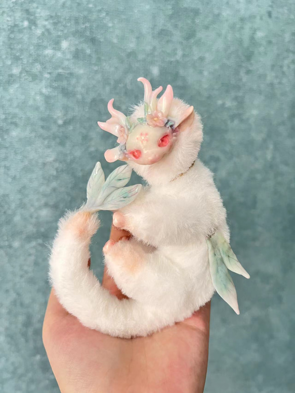 不思議な動物,ドラゴン桃華の霊 