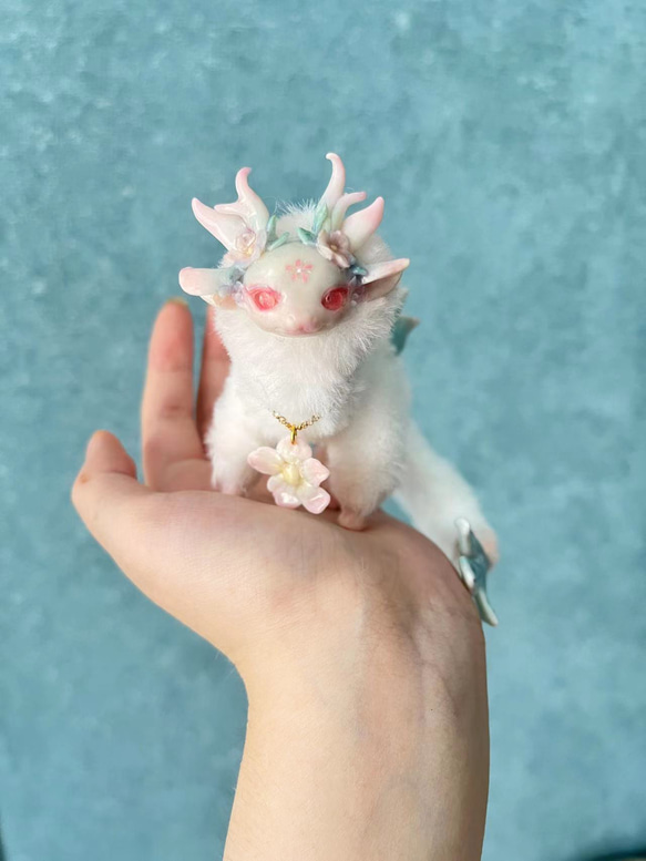 不思議な動物,ドラゴン桃華の霊 