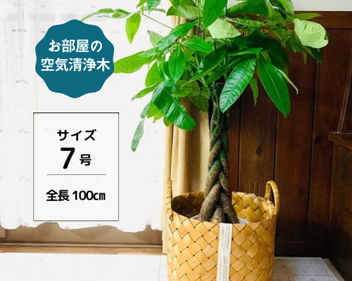 竹製ストライプ植木鉢カバー　大型 英国ブランド Garden Trading ストライプ 植木鉢カバー 麻 ジュート