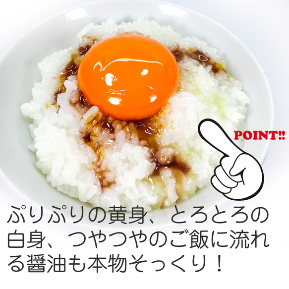食べちゃいそうな 卵かけご飯 食品サンプル ディスプレイ用 3枚目の画像