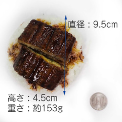 食べちゃいそうな 鰻ご飯 食品サンプル ディスプレイ用 6枚目の画像