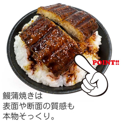 食べちゃいそうな 鰻ご飯 食品サンプル ディスプレイ用 3枚目の画像