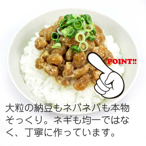 食べちゃいそうな 納豆ご飯 食品サンプル ディスプレイ用 その他 食べちゃいそうな 納豆ご飯 食品サンプル ディスプレイ用 その他